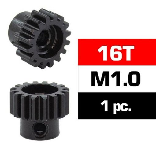 Immagine di PIGNONE 16T M1