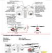 Immagine di R/C HELICOPTER WITH ALTITUDE HOLD 2,4G